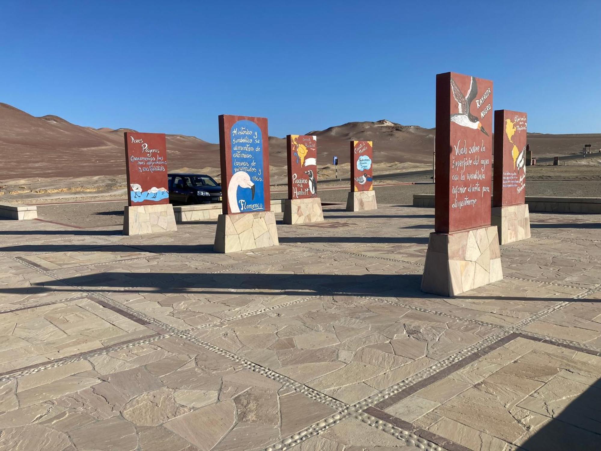 Paracas Camp Lodge & Experiences エクステリア 写真