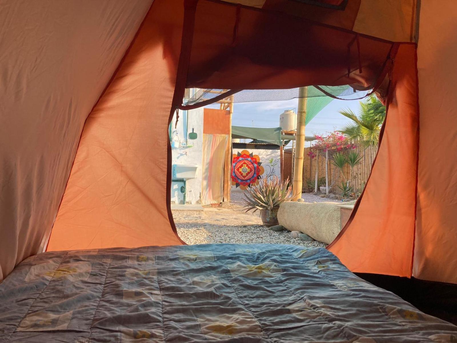 Paracas Camp Lodge & Experiences エクステリア 写真